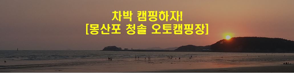  차박캠핑으로 언텍트 여행가자! 충남 태안 몽산포 청솔 오토캠핑장을 소개합니다.