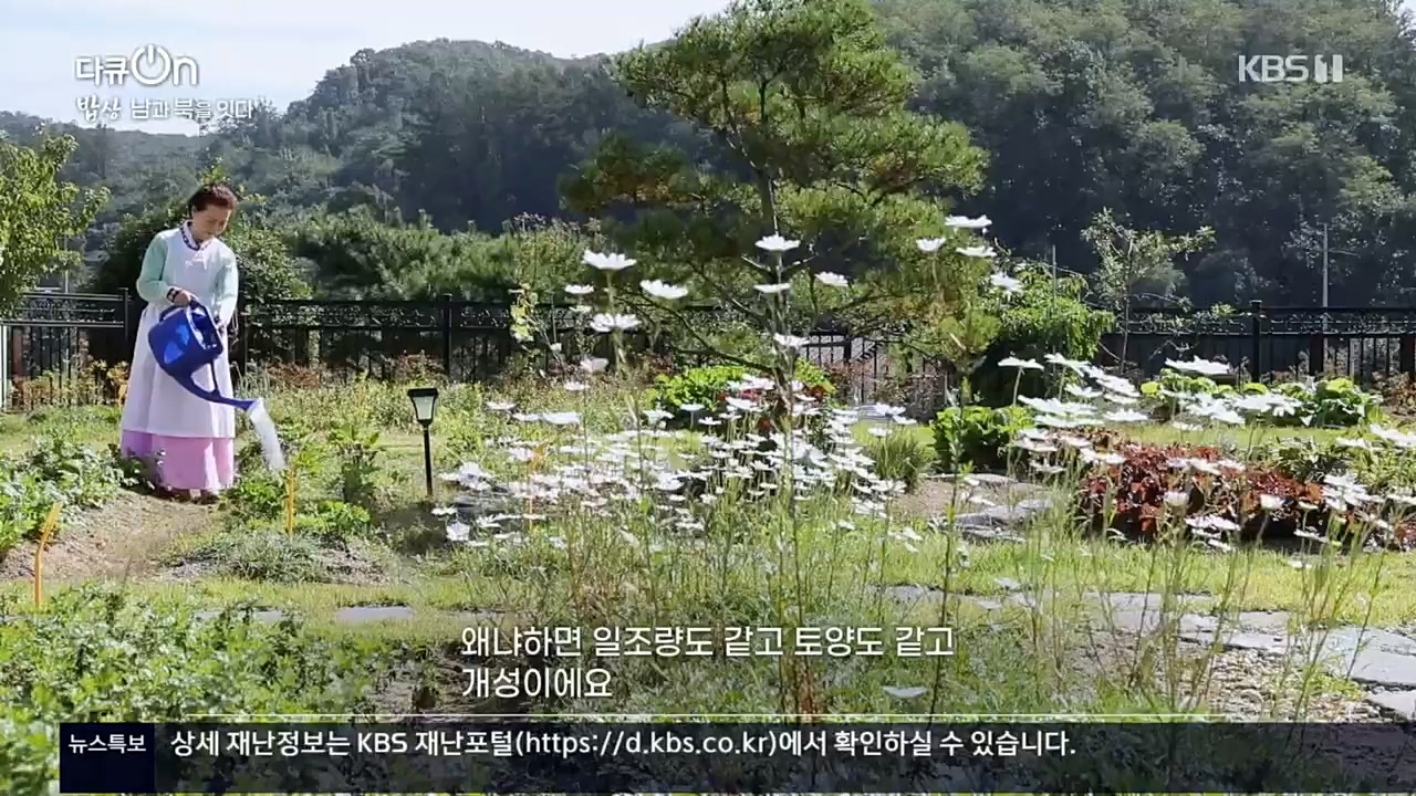 다큐 On.E171.221114p.H264-F1RST.mp4_20221121_193334.555.jpg