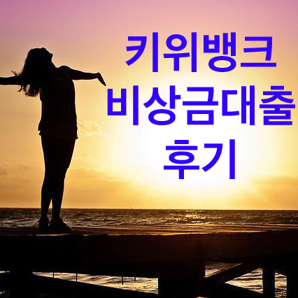  키위뱅크 비상금대출 후기 무직자도 300만원 받을 수 있다