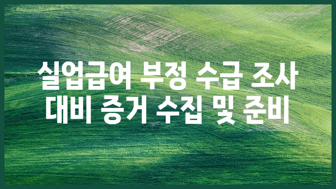 실업급여 부정 수급 조사 대비 증거 수집 및 준비