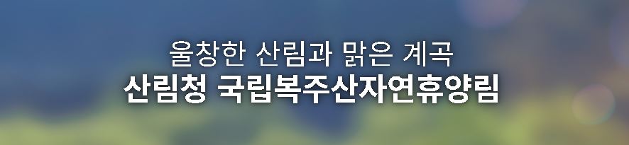 복주산 자연휴양림