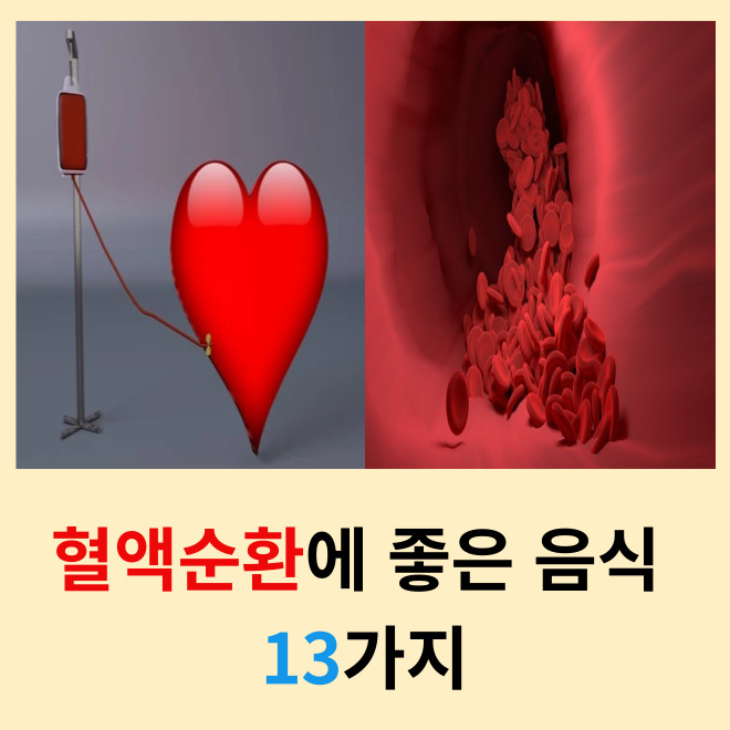 혈액순환에-좋은-음식-13가지