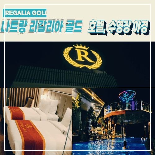 나트랑 리갈리아 골드(REGALIA GOLD) 호텔&#44; 수영장 야경