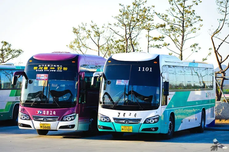 안동 시외버스터미널 시간표 예매 요금_6