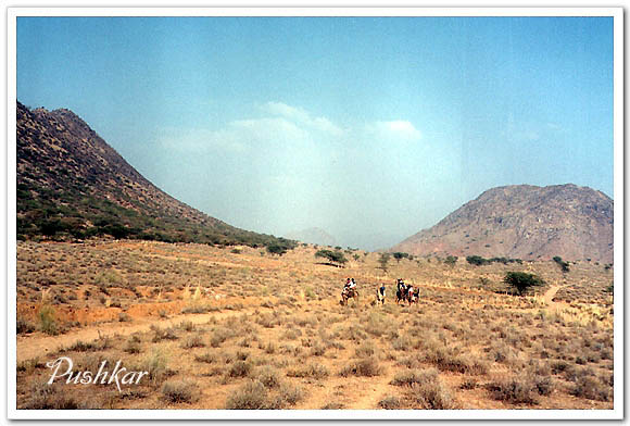 인도-푸쉬카르-사막풍경