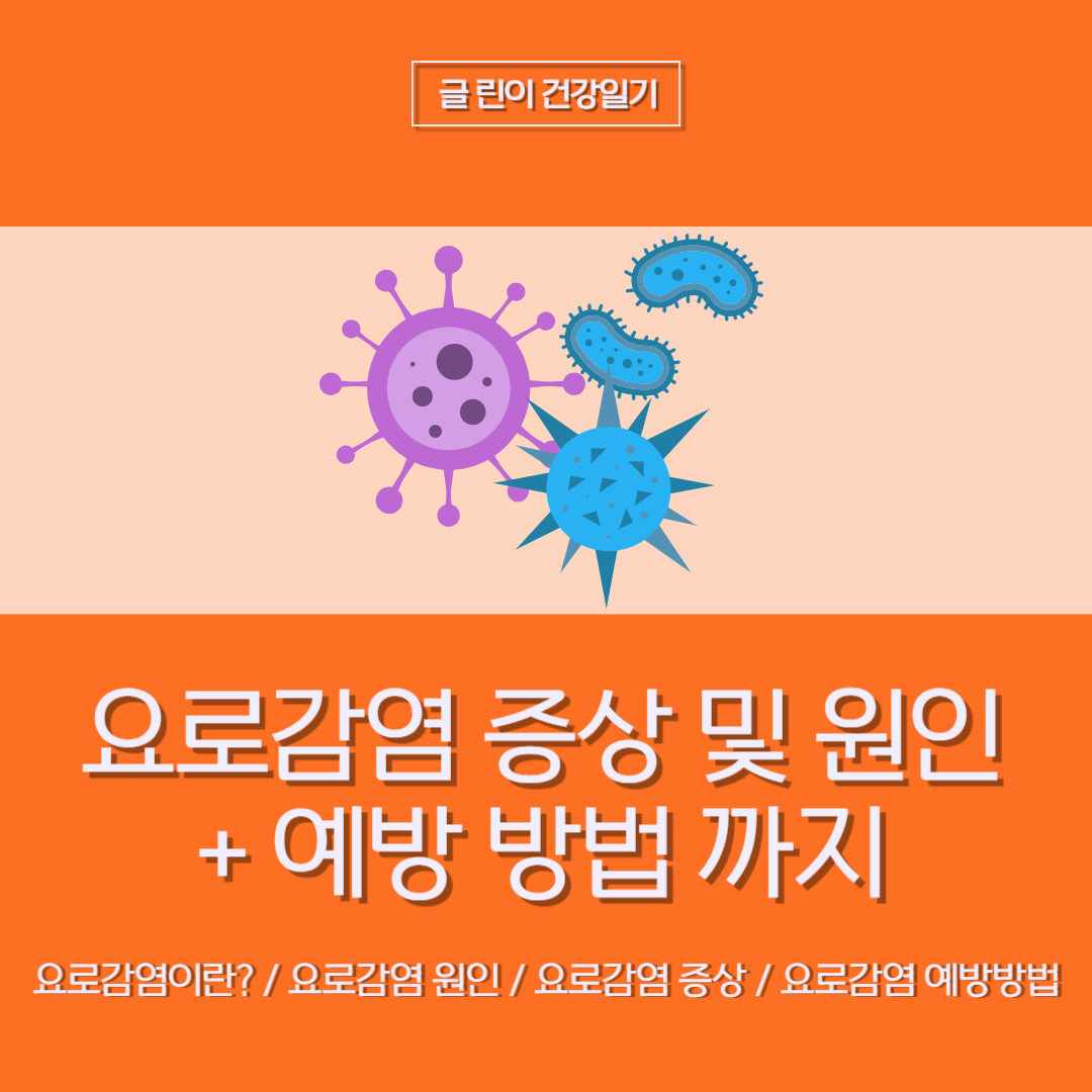  요로감염 증상 및 원인 + 예방 방법 까지