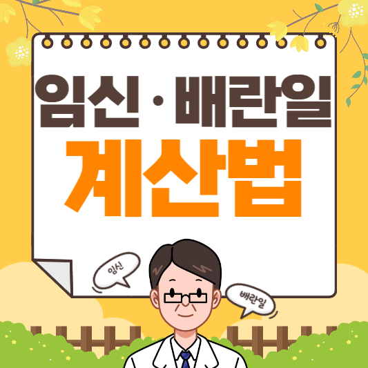 임신 배란일 계산법