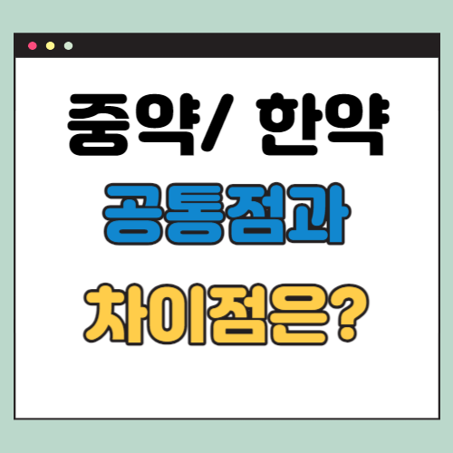  중약 한약 차이점과 공통점 5가지