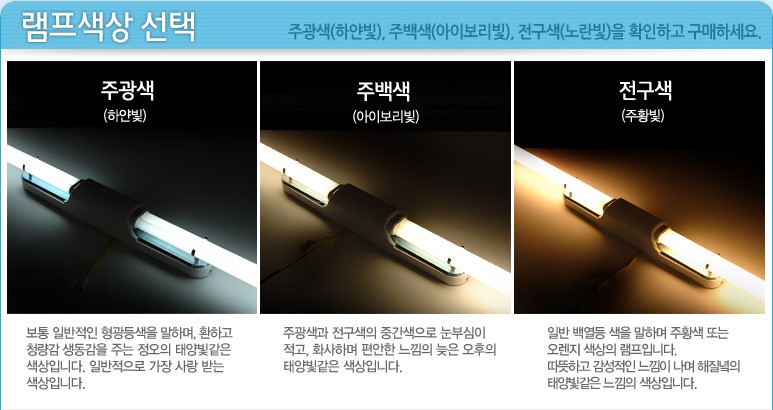 전구 색상 종류