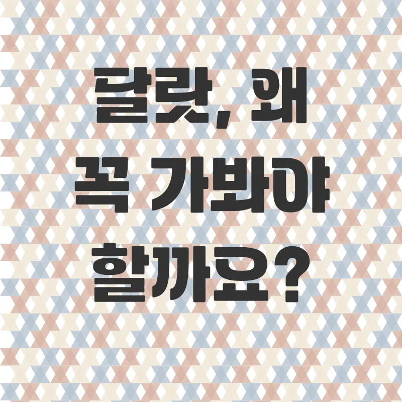 달랏여행_1