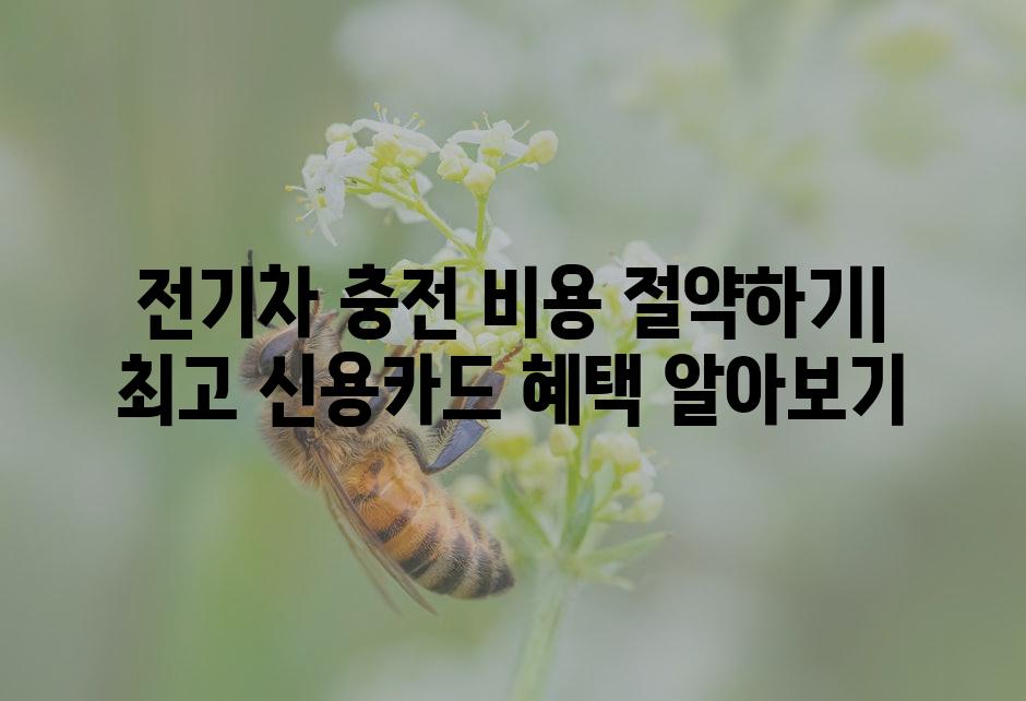 API 할당량 초과 오류 8