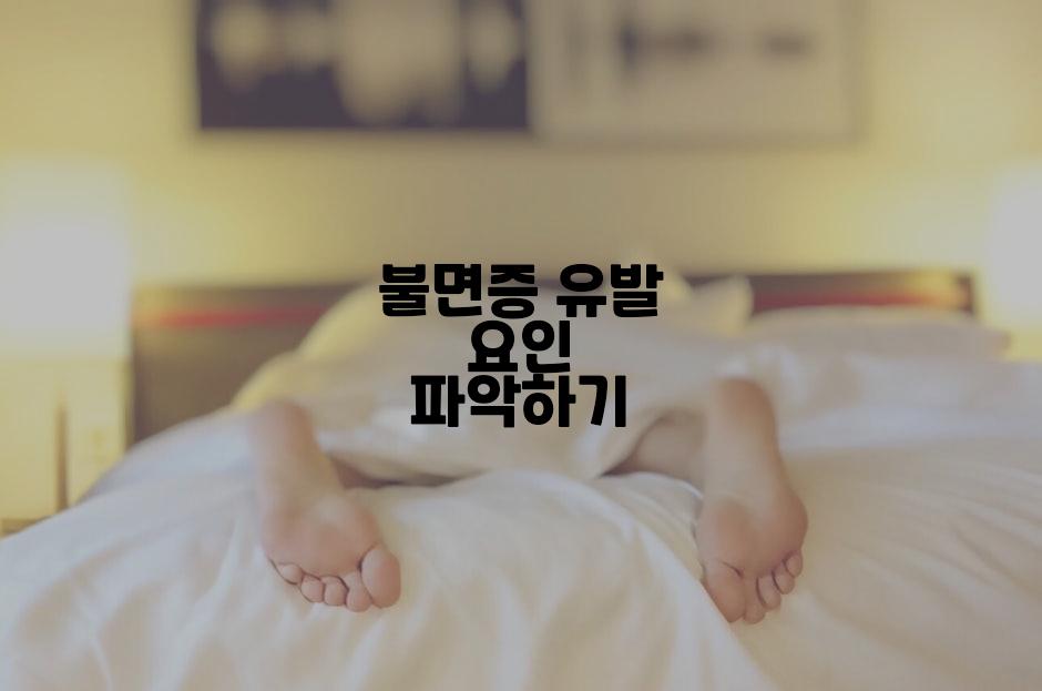 불면증 유발 요인 파악하기