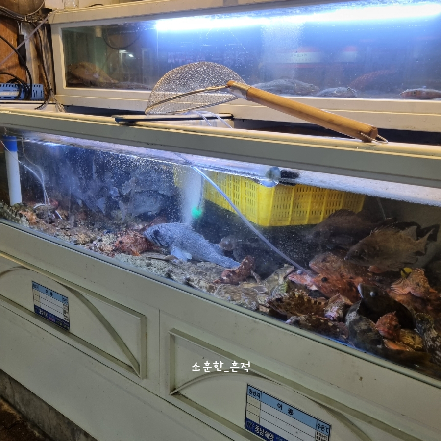 자연산가덕횟집 이미지