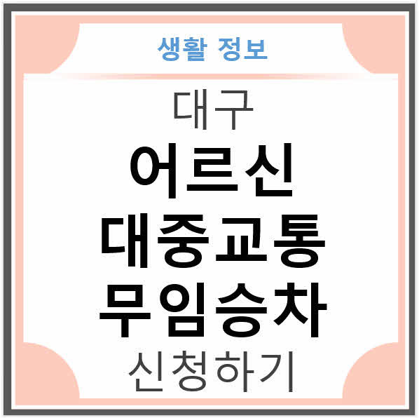 대구 어르신 대중교통 무임승차