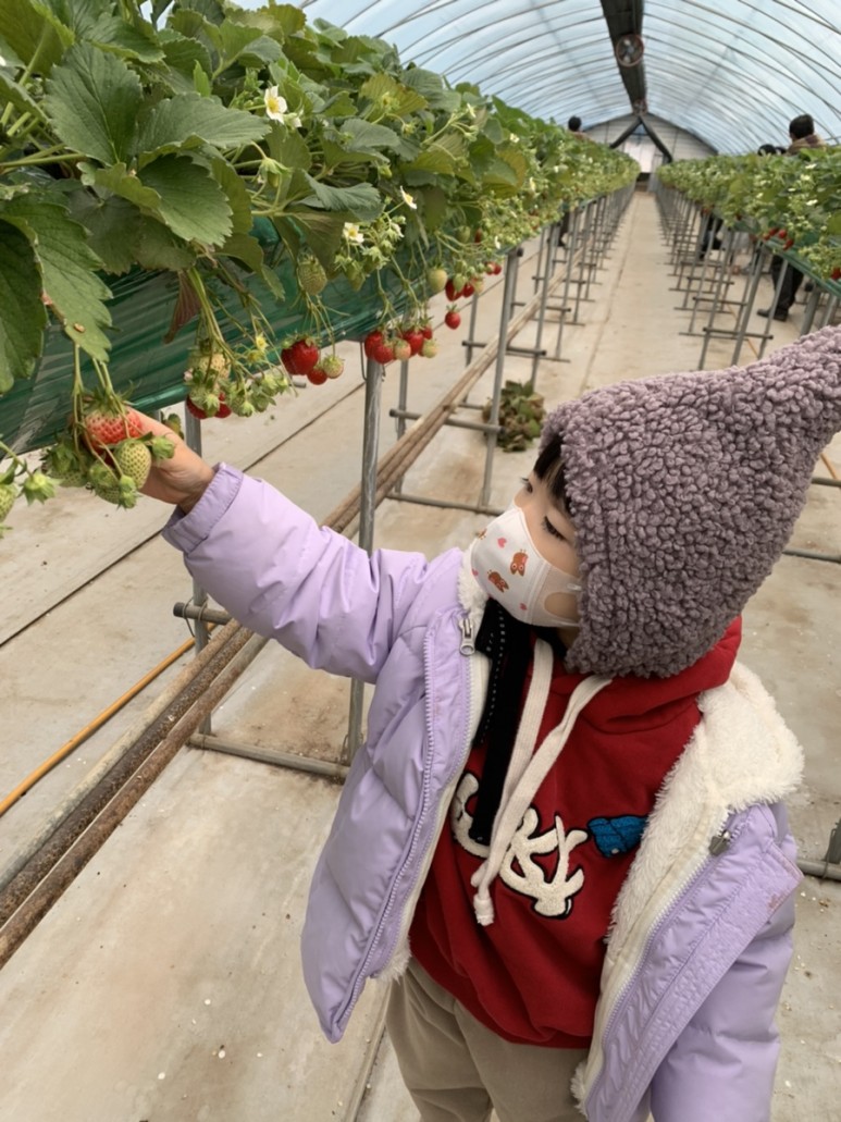 정현딸기농장, 10