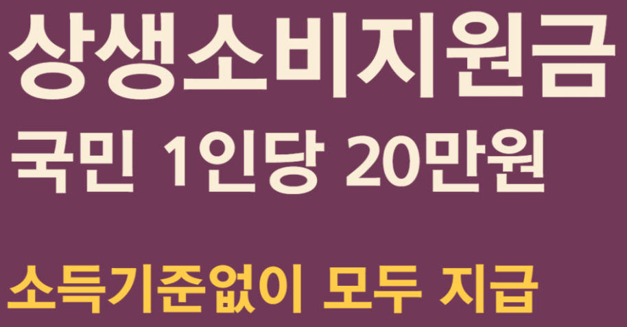 상생소비지원금