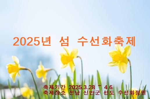 2025 신안 섬 수선화축제-노란 수선화가 물들이는 섬 여행