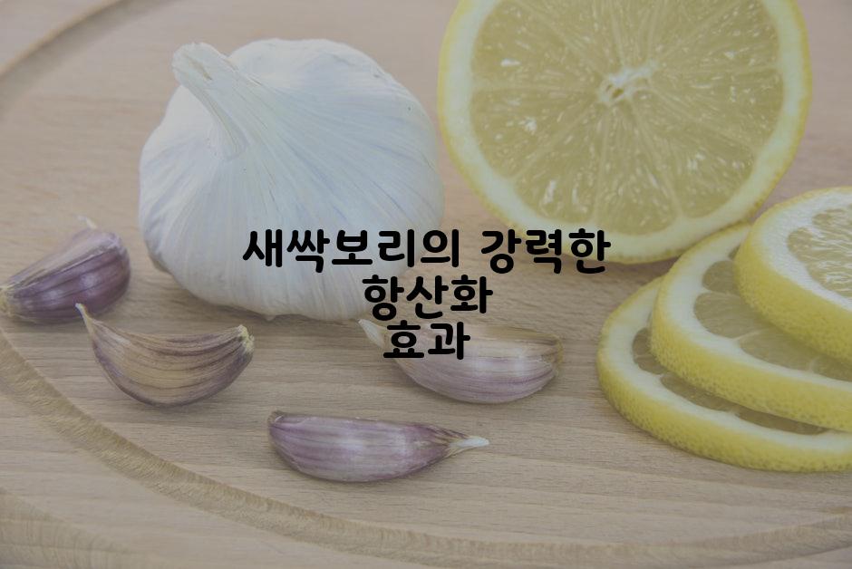 새싹보리의 강력한 항산화 효과