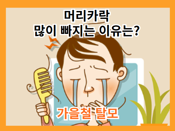 머리카락이 많이 빠지는 이유, 가을철 탈모 현상