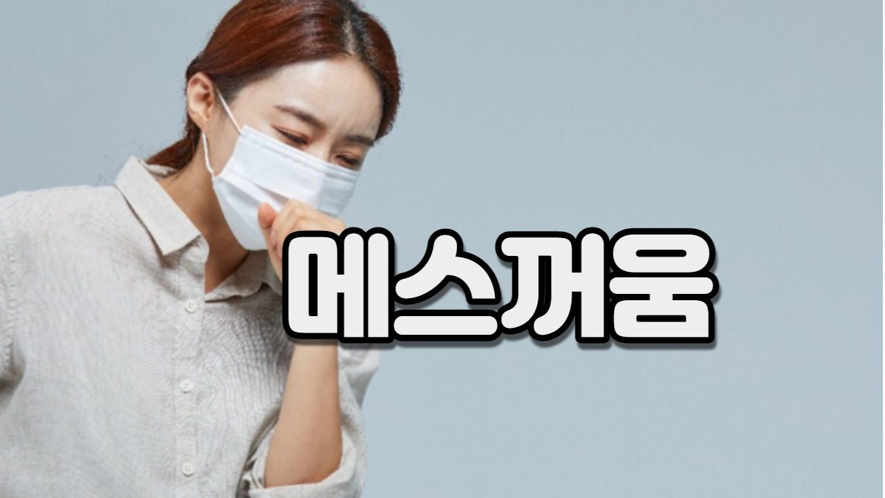  메스꺼움