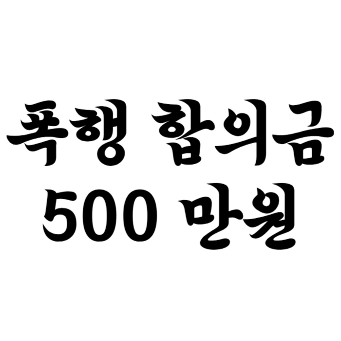 폭행 합의금 500