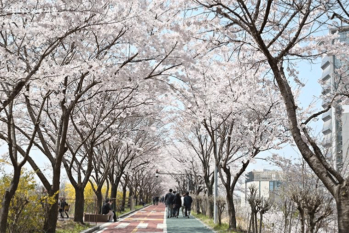 성내천