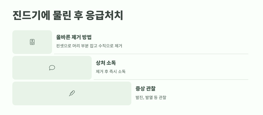 집에서 진드기 퇴치법 완벽 정리 11