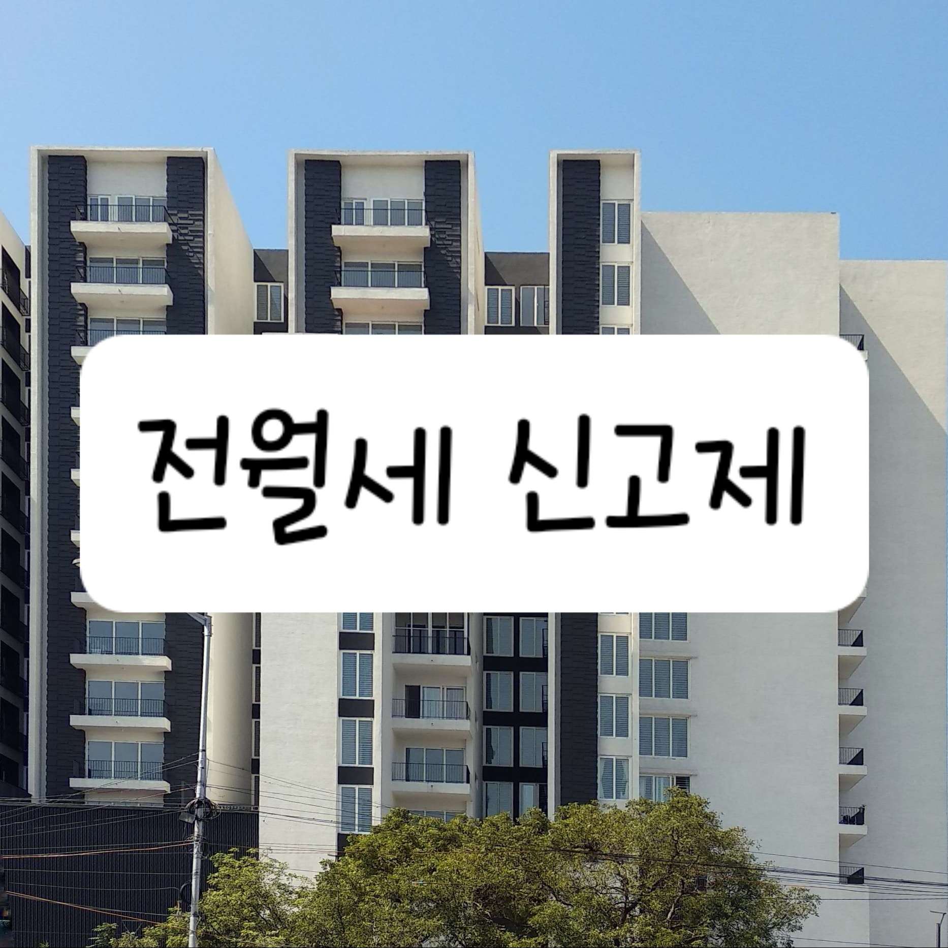 전월세 신고제 대상