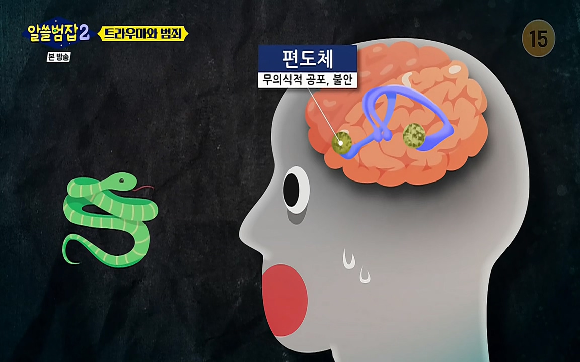 알쓸범잡 2.E11.220321p-NEXT.mp4_20220321_181808.329.jpg