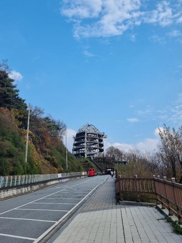 단양