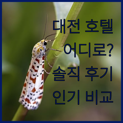대전 호텔 어디로 가야 할까? 인기 
