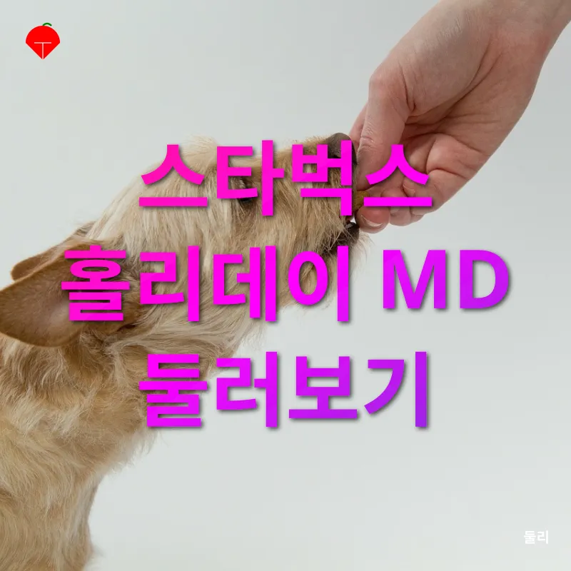 스타벅스 프리퀀시_2