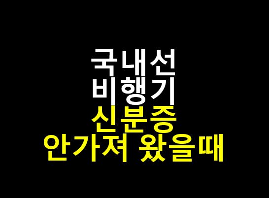  국내선 공항 신분증 안가져왔을 때 대처 방법 / 민원24 활용