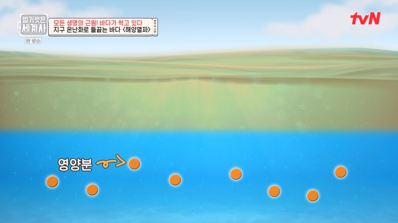 벌거벗은 세계사.E90.230315p-NEXT.mp4_20230419_212554.859.jpg