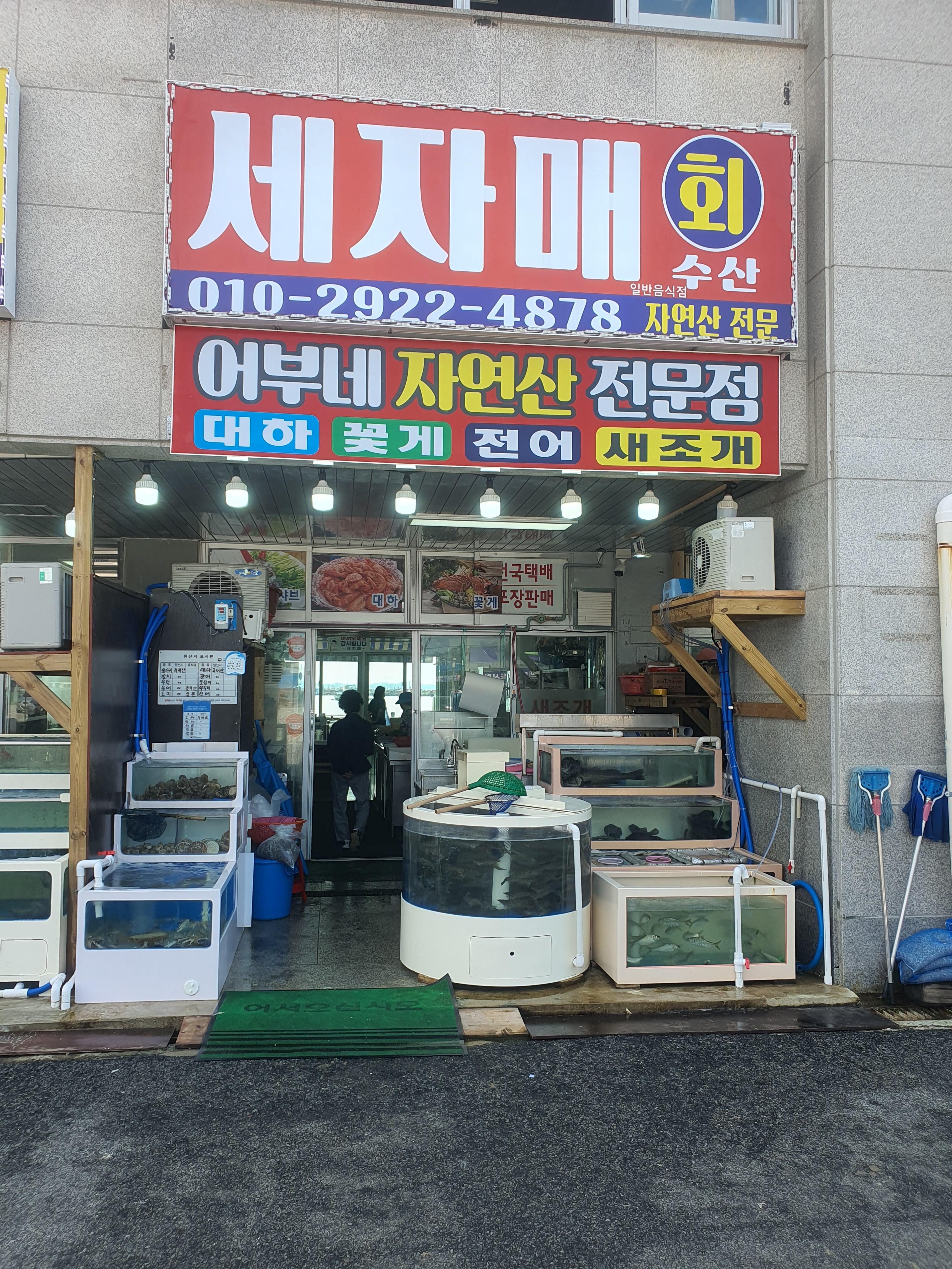 홍성 남당리 대하 축제 전어 맛집 세자매