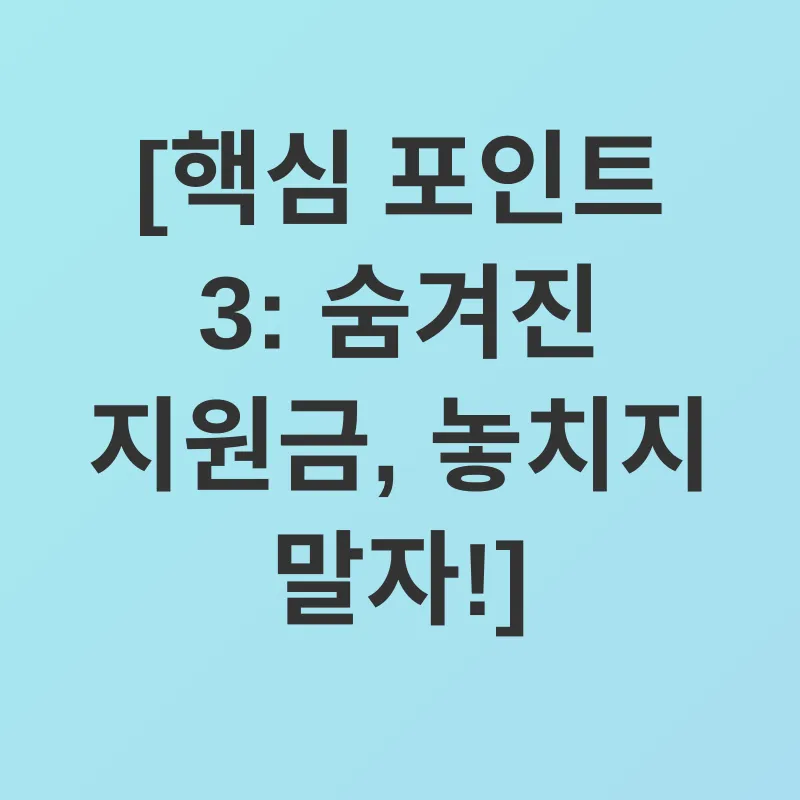 정부지원금_3