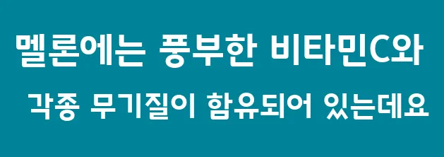 멜론에는 풍부한 비타민C와 각종 무기질이 함유되어 있는데요