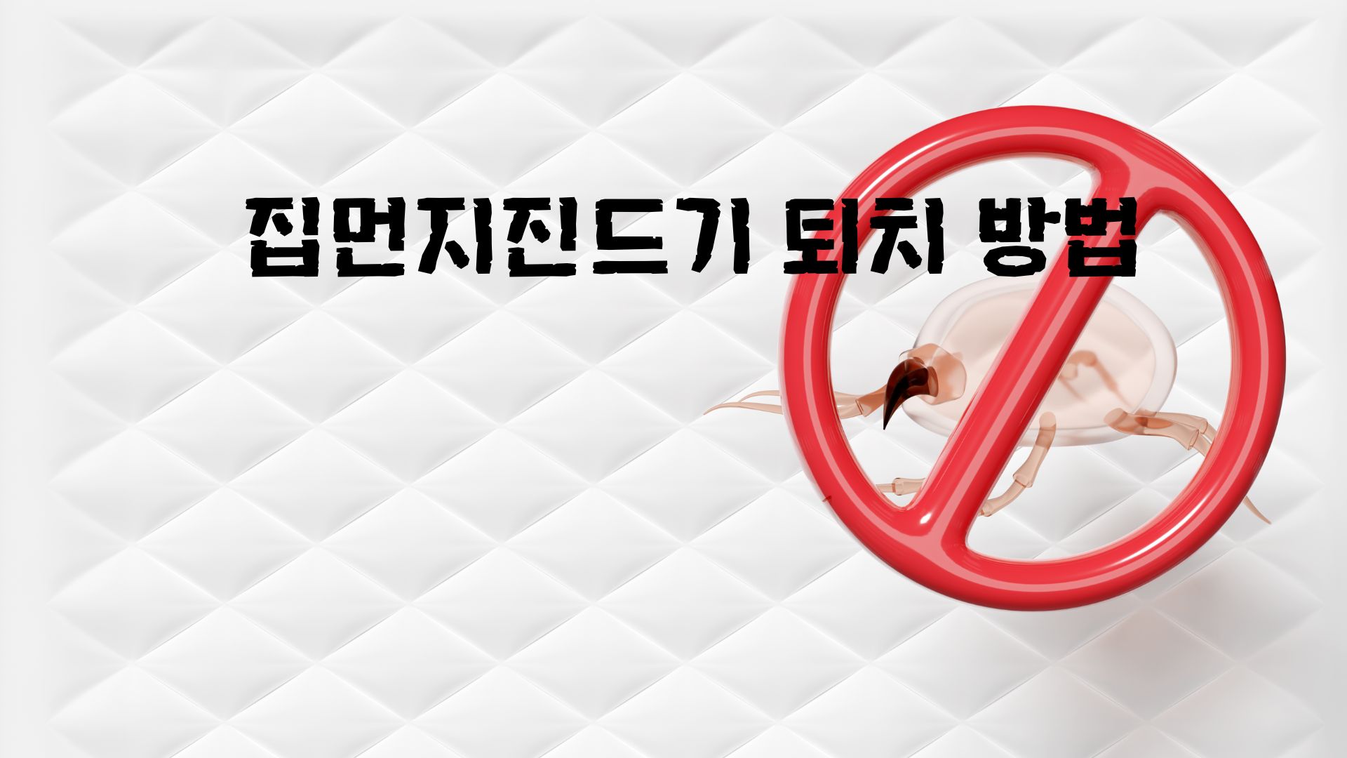 집먼지진드기 퇴치법