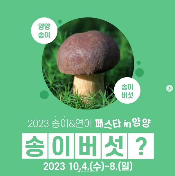 양양 송이 연어 축제 기본정보 가수 라인업 체험 행사 일정