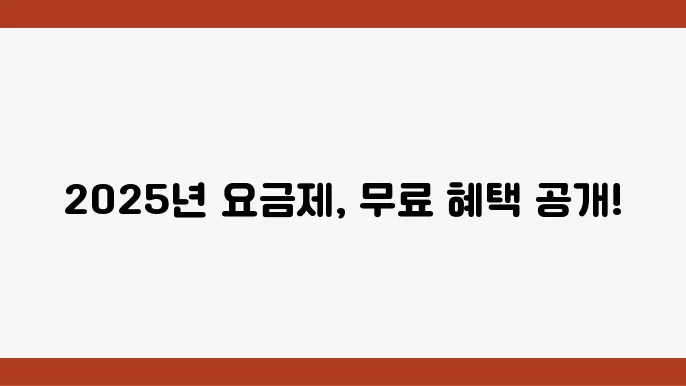 2025 디즈니플러스 요금제 특성
