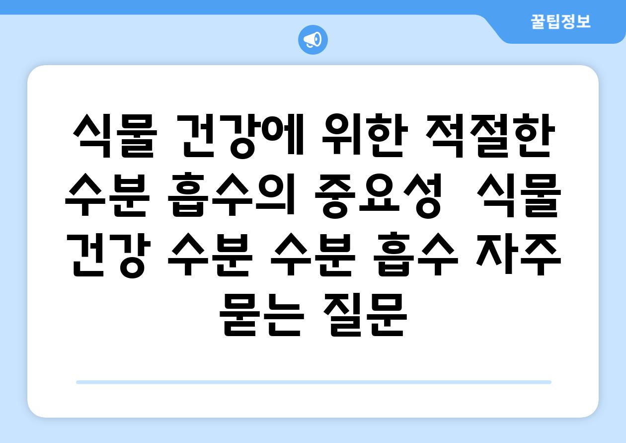 '식물 건강에 위한 적절한 수분 흡수의 중요성' | 식물 건강, 수분, 수분 흡수