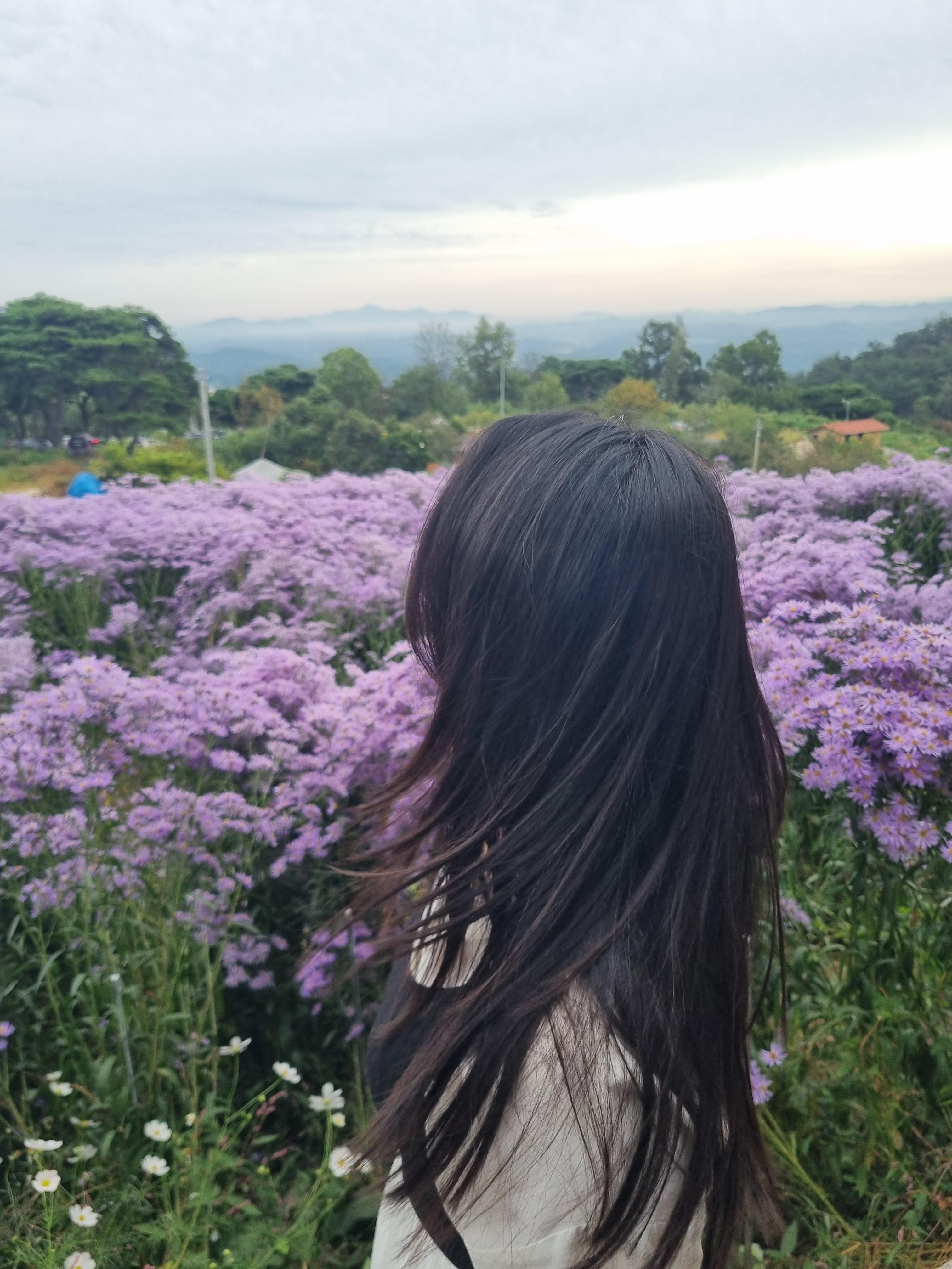 봉천사 올라가는 길