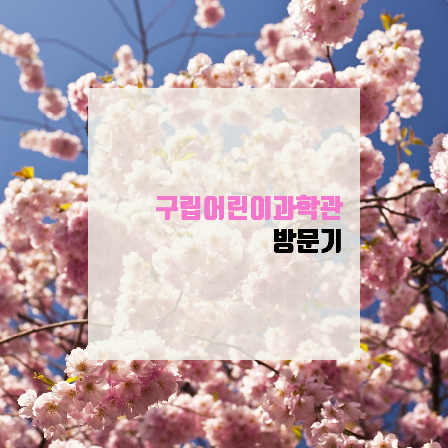  서울 국립어린이과학관 방문기