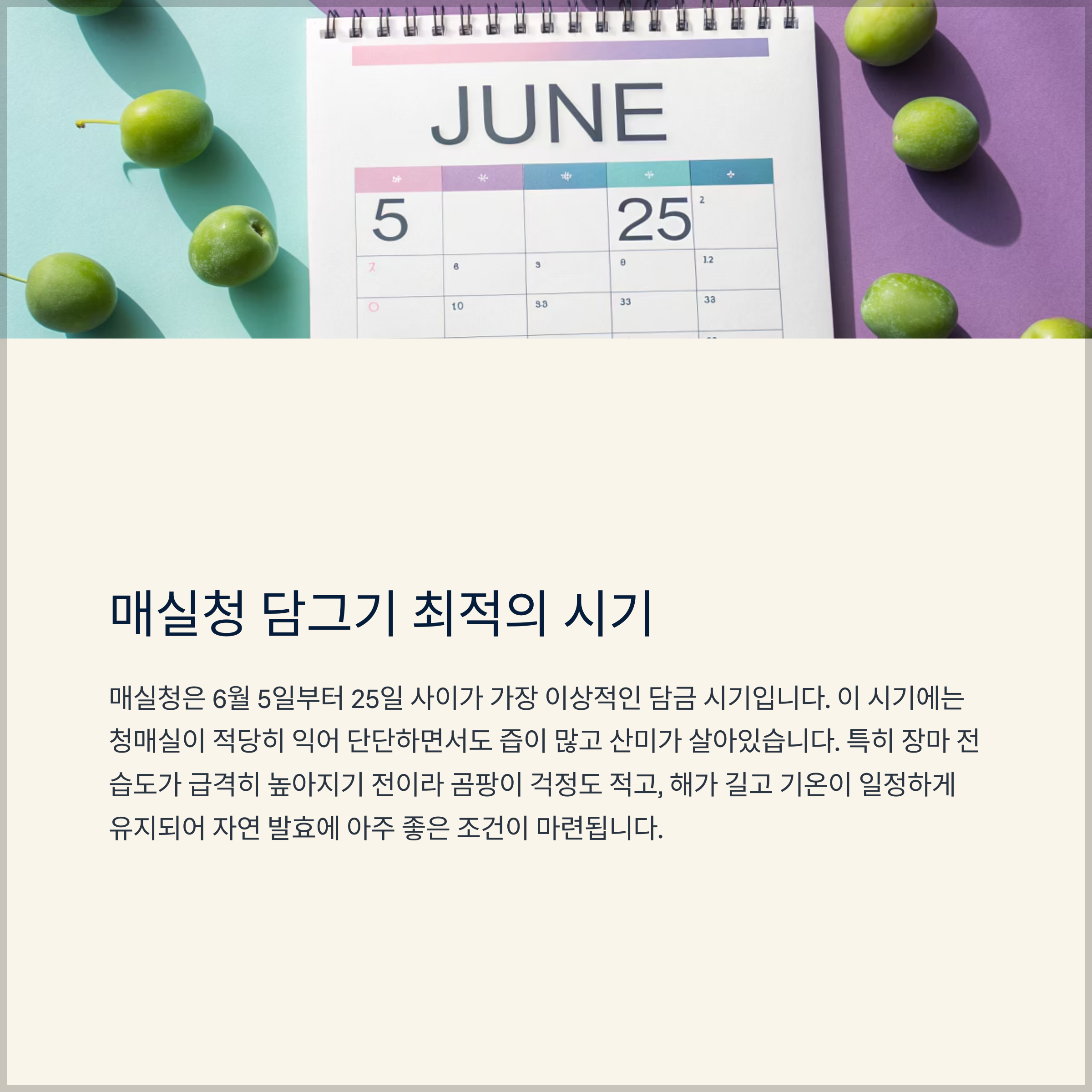 매실청 담그기 좋은 시기