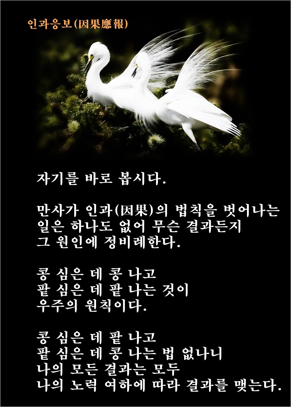 인과응보