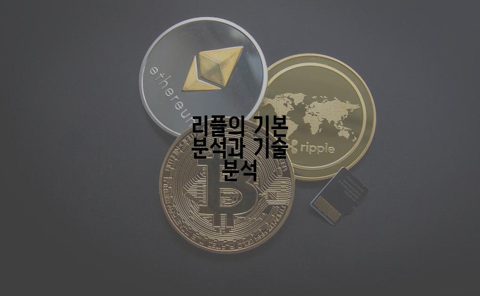 리플의 기본 분석과 기술 분석
