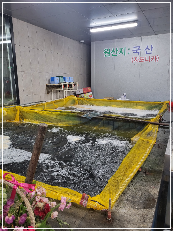 고창군-금단양만