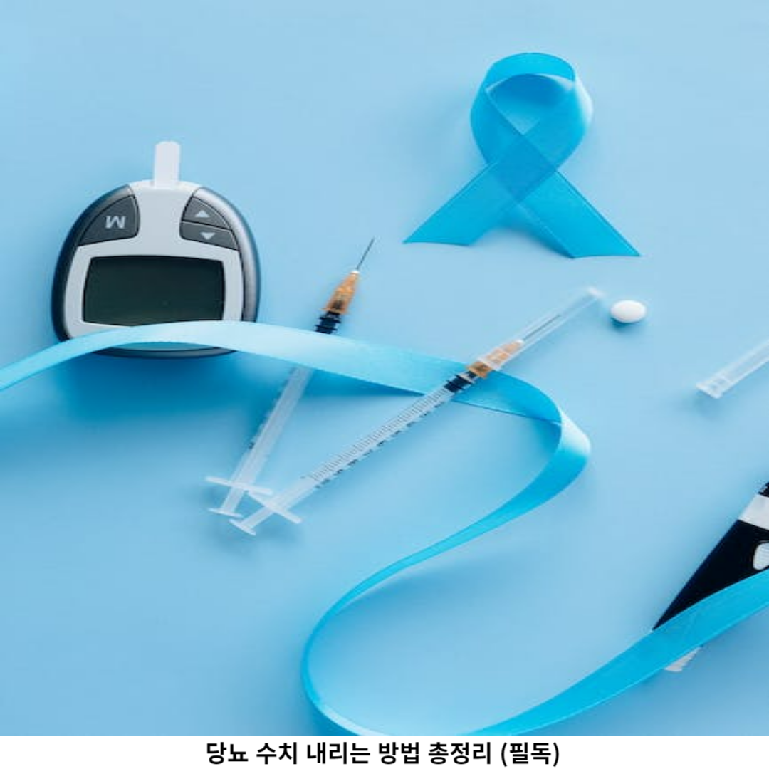 건강 검진과 의사 상담