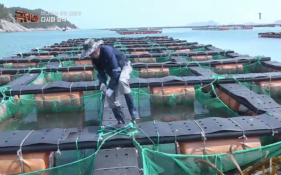 TV - 교육의 중심 EBS바다에서 찾은 감칠맛 새우젓과 다시마.mp4_20220717_175013.852.jpg