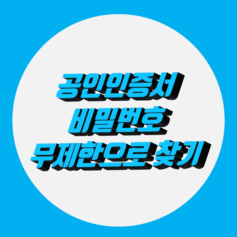  공인인증서 비밀번호 찾기 무제한 입력 가능